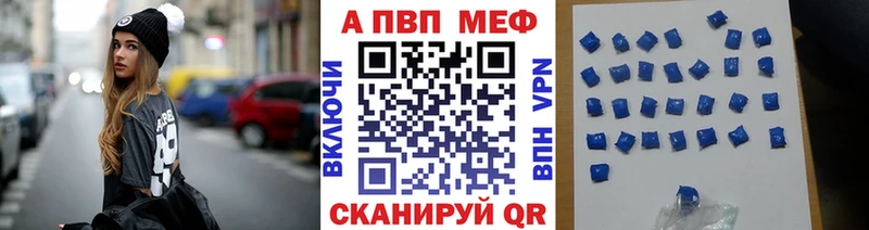 A PVP СК  Бакал 