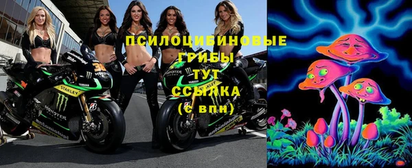 прущая мука Осташков