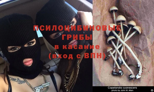 соль курить ск Няндома
