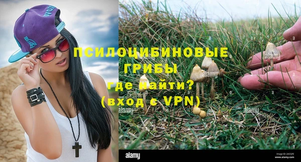 соль курить ск Няндома