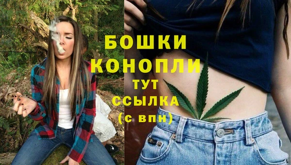 дурь Нягань