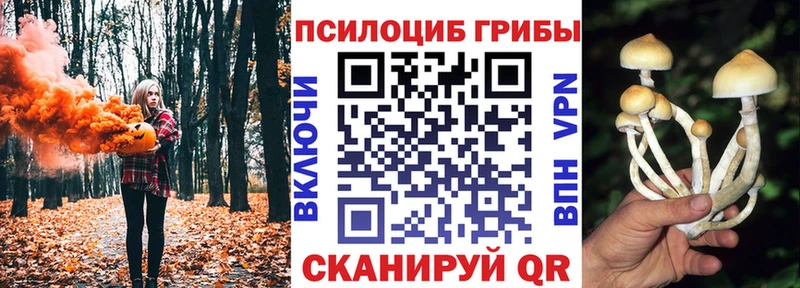 Псилоцибиновые грибы прущие грибы  Бакал 